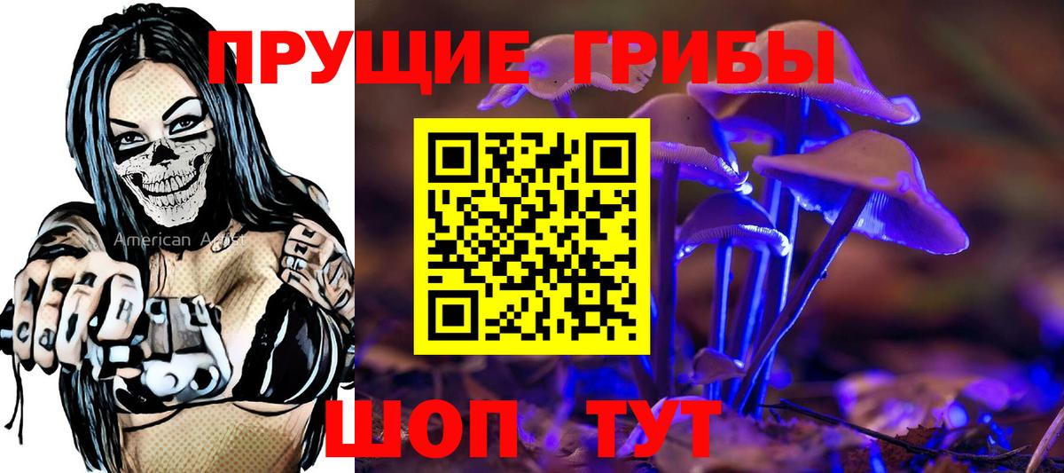 Галлюциногенные грибы Magic Shrooms  Псилоцибиновые грибы ЛСД  Вход с VPN  как найти закладки  Ессентуки 